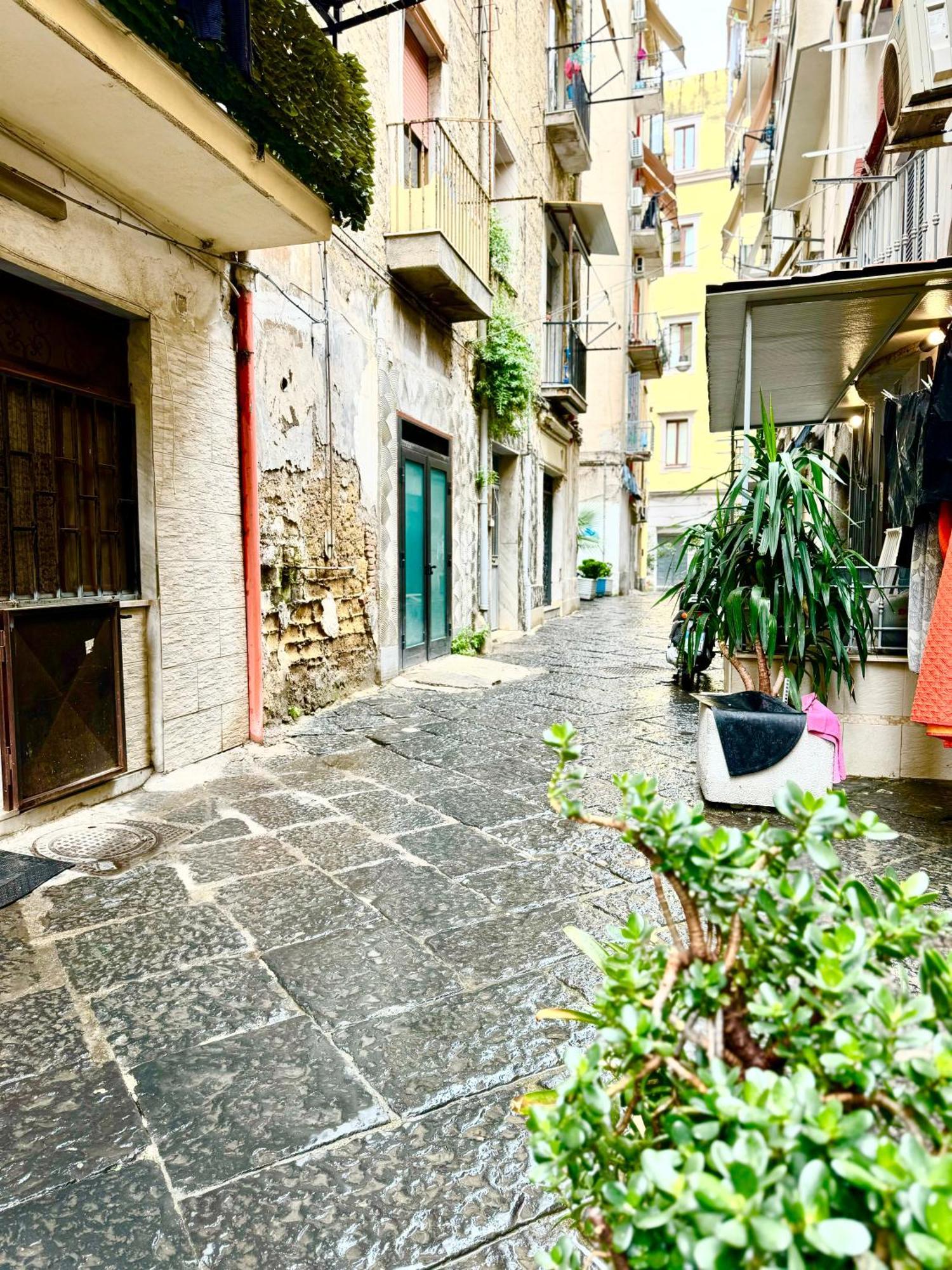 Vesuvius House Naples